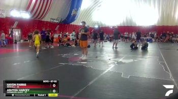 87-92 lbs Round 2 - Ashton Harcey, Cambridge-Isanti vs Haydn Farris, Roncalli