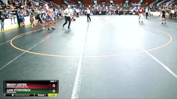 135 lbs Champ. Round 2 - Brady Lester, Michigan Grappler RTC vs Liam Fitzpatrick, Rockford