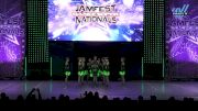 Fierce X Dance - Fierce Youth Lions [2025 Youth - Pom - Small Day 1] 2025 JAMfest Dance Super Nationals