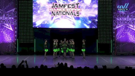 Fierce X Dance - Fierce Youth Lions [2025 Youth - Pom - Small Day 1] 2025 JAMfest Dance Super Nationals