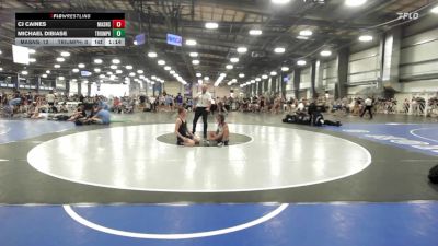 120 lbs Rr Rnd 2 - CJ Caines, Mat Assassins vs Michael DiBiase, Triumph Maize