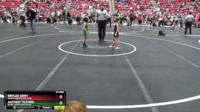 50 lbs Quarterfinal - Brylee Dent, Salina Wrestling Club vs Anthem Tilford, Derby Wrestling Club