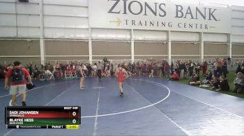 125 lbs Quarterfinal - Sadi Johansen, Springville vs Blayke Hess, Bear River