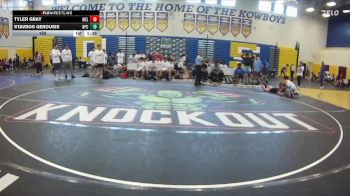 150 lbs Round 6 (8 Team) - Tyler Gray, Wellington vs Stavros Gerousis, Naperville Central