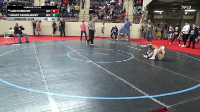 95_B lbs Consi Of 16 #2 - Liam Hamilton, Loyalsock vs Grant Casselberry, Southern Tioga