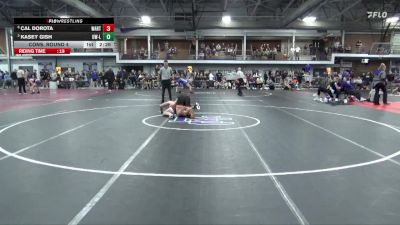 197 lbs Cons. Round 4 - Cal Dorota, Wartburg vs Kasey Gish, Wisconsin-La Crosse