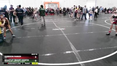 65 lbs Cons. Semi - Brantley Bravet-Morton, Spartanburg Wrestling Academy vs Harrison Parker, C2X