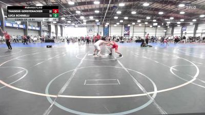 132 lbs Consi Of 16 #1 - Thadeus Gerstenacker, SC vs Luca Schinelli, VA