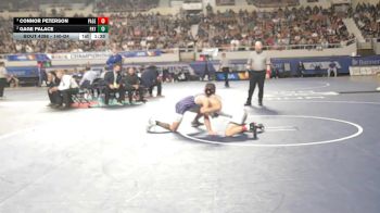 140-D4 1st Place Match - Connor Peterson, Page High School vs Gage Palace, Payson High School