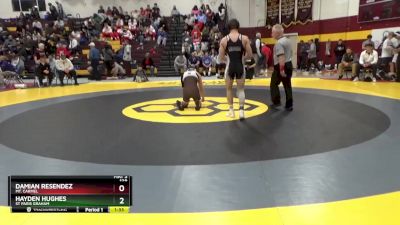 138 lbs Champ. Round 2 - Damian Resendez, Mt. Carmel vs Hayden Hughes, St Paris Graham