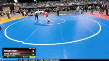 6A - 220 lbs 3rd Place Match - Peter Etheredge, Southlake Carroll vs Brooks Bittick, Cedar Park Vista Ridge