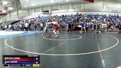 190 lbs Cons. Round 1 - Waylon Lamkin, MI vs Evan Saevre, IN