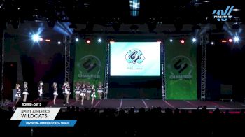 Spirit Athletics - Wildcats [2024 L6 Limited Coed - Small Day 2] 2024 CSG Grand Nationals