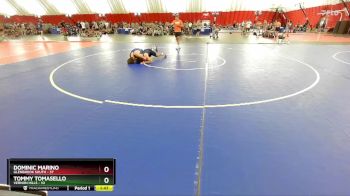 165 lbs Placement (16 Team) - Dominic Marino, Glenbrook South vs Tommy Tomasello, Vernon Hills