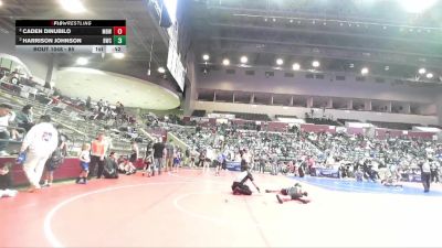 85 lbs Semifinal - Harrison Johnson, Bentonville Wrestling Club vs Caden Dinubilo, Mighty Bluebirds Wrestling