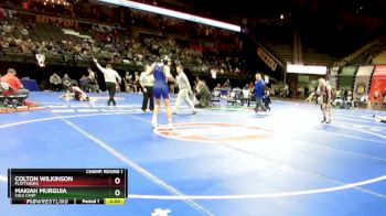 138 Class 1 lbs Champ. Round 1 - Colton Wilkinson, Plattsburg vs Makiah Murguia, Cole Camp