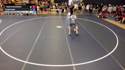 132 lbs Champ. Round 3 - Evan Stachewicz, MI vs Tyler Daub, IL