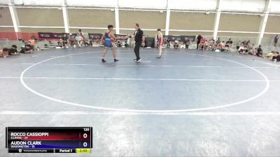 120 lbs 2nd Place Match (8 Team) - Rocco Cassioppi, Illinois vs Audon Clark, Washington