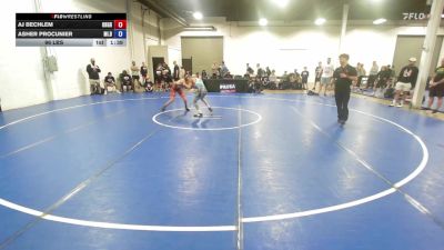 96 lbs AJ Bechlem, Ohio Gray vs Asher Procunier, Michigan Blue