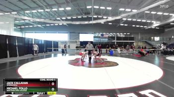 125 lbs Cons. Round 5 - Jack Callahan, Springfield vs Michael Follo, New England College