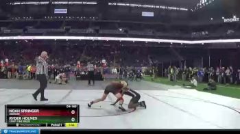 D4-140 lbs Champ. Round 1 - Ryder Holmes, LeRoy Pine River vs Noah Springer, Addison
