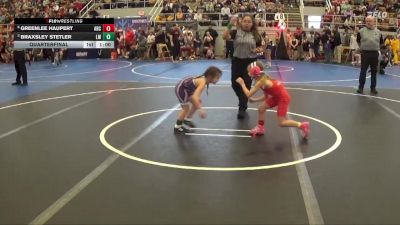 50 lbs Quarterfinal - Braxsley Stetler, Lady Magics vs Greenlee Haupert, Arcadia