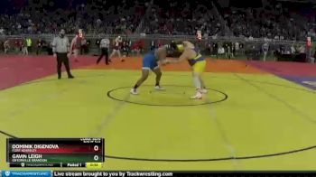 D2-285 lbs Cons. Semi - Gavin Leigh, Ortonville Brandon vs Dominik DiGenova, Flint Kearsley