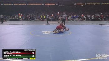 D3-165 lbs Champ. Round 1 - Aiden Cunningham, Millington HS vs Anthony Szubinski, Belding