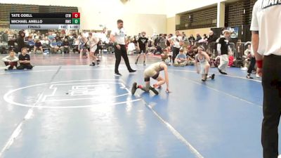 77 lbs Final - Tate ODell, CTWHALE Orca - MSE vs Michael Anello, Ruthless Blue - MSE