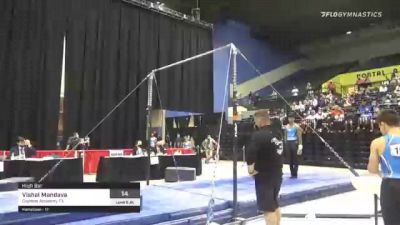 Vishal Mandava - High Bar, Cypress Academy TX - 2021 USA Gymnastics Development Program National Championships