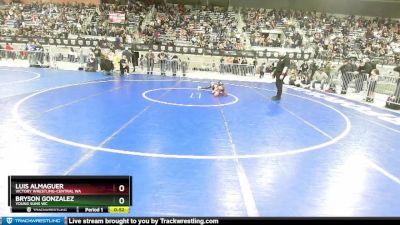 43 lbs Semifinal - Luis Almaguer, Victory Wrestling-Central WA vs Bryson Gonzalez, Young Suns WC