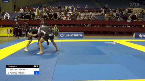 Christopher Michael Jester vs Justin Aubrey Flood 2024 Pan IBJJF Jiu-Jitsu No-Gi Championship