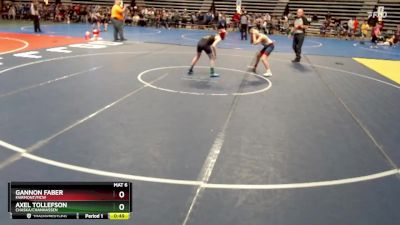 95 lbs Quarterfinal - Axel Tollefson, Chaska/Chanhassen vs Gannon Faber, Fairmont/MCW