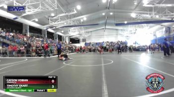 120 lbs 3rd Place Match - Cayson Vobian, Janesville vs Timothy Ekart, Jackson County