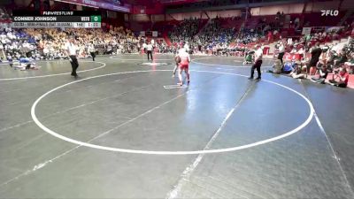 165 lbs D2/d3 - Semi-finals (sat 10:00am.) - Conner Johnson, Weyauwega-Fremont vs Liam Richards, Oostburg