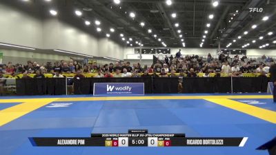 Ricardo Bortoluzzi vs Alexandre Pimentel 2025 World Master IBJJF Jiu-Jitsu Championship