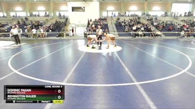 174 lbs Cons. Round 3 - Remington Bauer, Baldwin Wallace vs Dominic Pagan, Baldwin Wallace