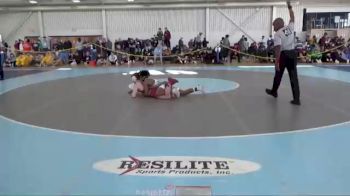 133 lbs Semifinal - Josh Wilson, Greensboro College vs Luke Hoerle, Stevens Institute Of Technology