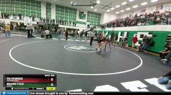 120-125 lbs Semifinal - Tai Mcbride, Jackson Hole vs Brandi Cole, Lyman