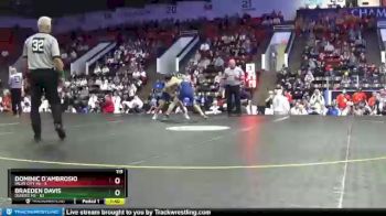 119 lbs Semifinals (8 Team) - Braeden Davis, Dundee HS vs Dominic D`Ambrosio, Imlay City HS