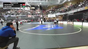 110 lbs Cons. Round 3 - Callie Collins, Cherryvale Hs vs Saj Snyder, Stockton HS