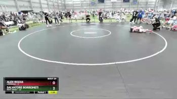 100 lbs Semis & 3rd Wb (16 Team) - Alex Rozas, Louisiana vs Salvatore Borrometi, New Jersey