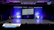 Dance Dynamics - Youth Elite Small Pom [2025 Youth - Pom - Small Day 1] 2025 NDA All-Star National Championship