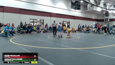 80-91 lbs Round 2 - Keegan Gallagher, Greenfield WC vs Aydin McCallum, Avon WC