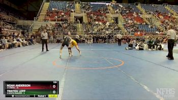 133 lbs Semis - Noah Anderson, 2-Lisbon vs Tristen Lepp, 3-South Border