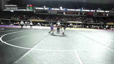 197 lbs Round Of 32 - Regan Mitchell, South Carolina vs Colin Vasquez, Tarleton State