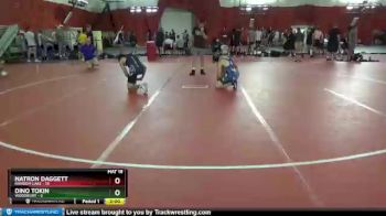 138 lbs Round 1 (4 Team) - Natron Daggett, Random Lake vs Dino Tokin, Woodbury