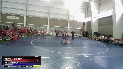 144 lbs Round 1 (8 Team) - Peyton Hornsby, Indiana vs Mihai Necula, Georgia