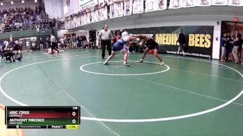 138 lbs Quarterfinal - Anthony Mrosko, Avon Ohio vs Aric Criss, Louisville