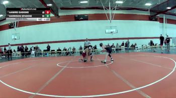 133 lbs Semifinal - Aamire Gaskins, Arcadia University vs Harrison Spadoni, Bethany College